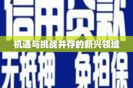 稷山机遇与挑战并存的新兴领域