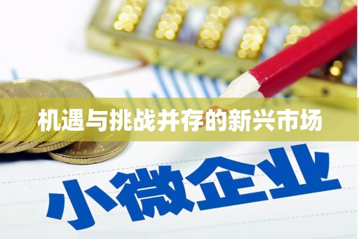 稷山机遇与挑战并存的新兴市场