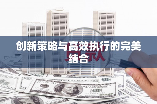 稷山创新策略与高效执行的完美结合