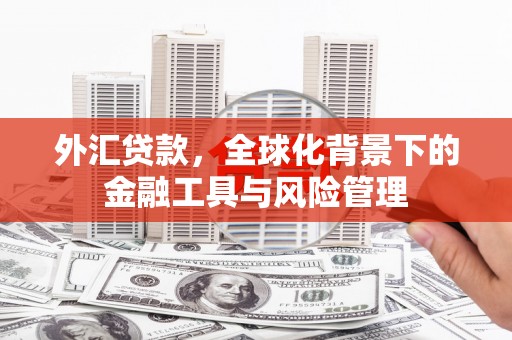 稷山外汇贷款，全球化背景下的金融工具与风险管理