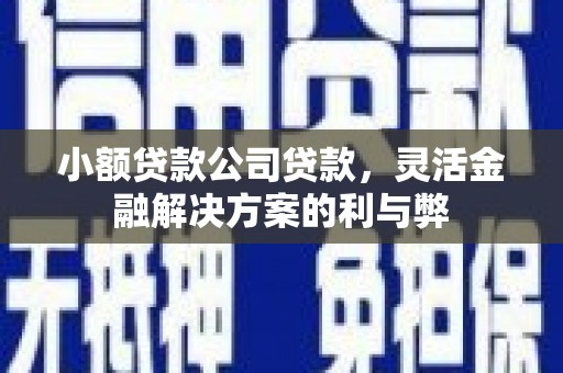 稷山小额贷款公司贷款，灵活金融解决方案的利与弊